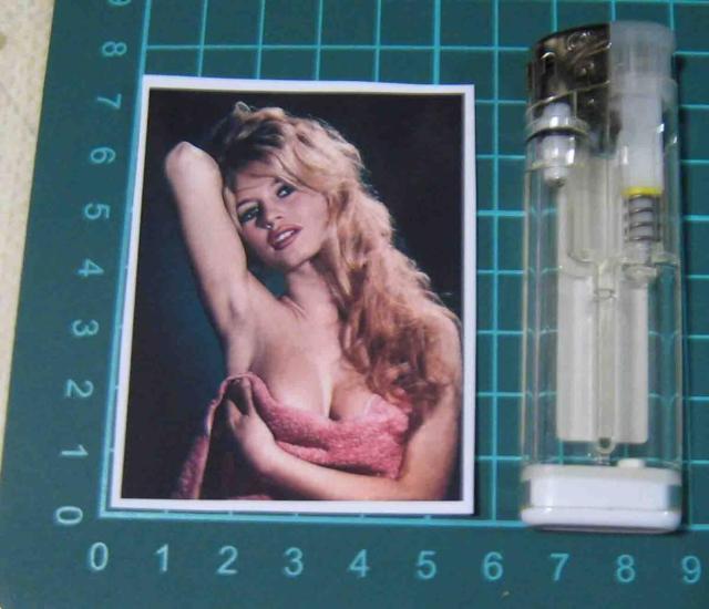 �u���W�b�h�o���h�[�@�Z�N�V�[�V���b�g�@�X�e�b�J�[  �� �z�r�[�� 