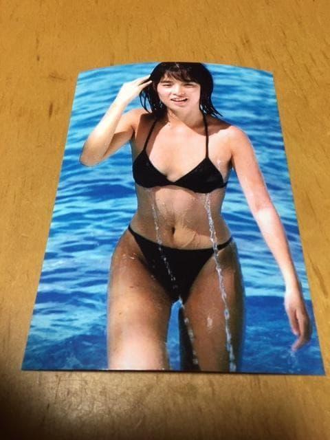 石田ゆり子 写真★4 < タレントグッズ 石田ゆり子 写真★4 < タレントグッズの