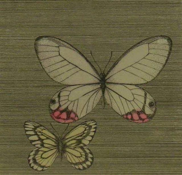 絵画 銅板画 石踊達哉 『蝶々』限定:60 真作保証 < ホビー  絵画 銅板画 石踊達哉 『蝶々』限定:60 真作保証 < ホビーの