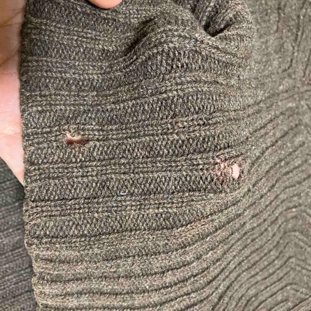 y1~X^[gzyBe[WzyKARL KANI / J[JiCz  Z[^[ / L