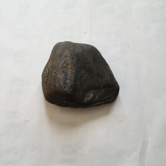 ���� C198 �� �C���e���A/���C�t�� 