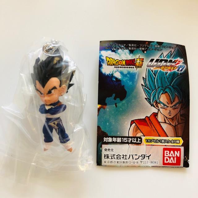 hS{[ UDM BURST17 xW[^ 