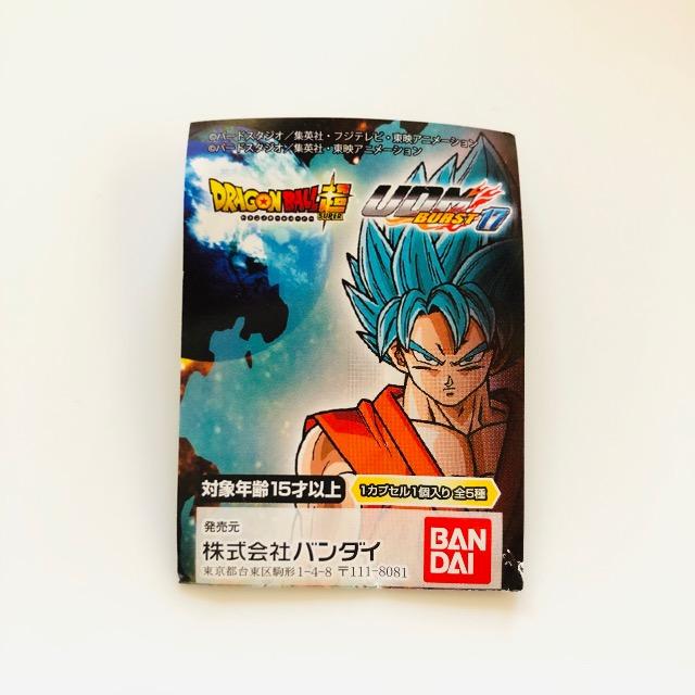 hS{[ UDM BURST17 xW[^