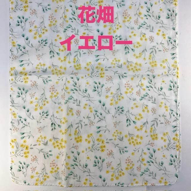 Vigpi K[[ʂ yԔCG[ znJ` _uK[[  Ђ| Ԃaj  {