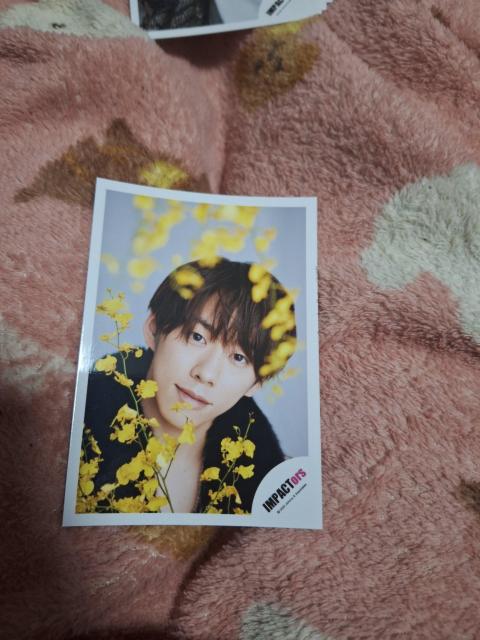 IMP.��r��ʐ^  �� �^�����g�O�b�Y�� 