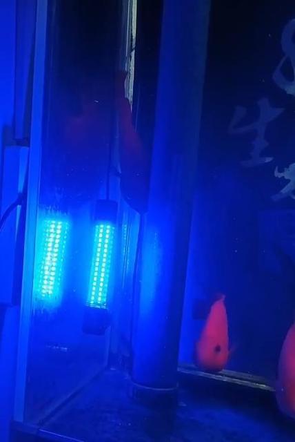 LED W v iCgtBbVO DC 12v 24v 13w  W[/X|[c 