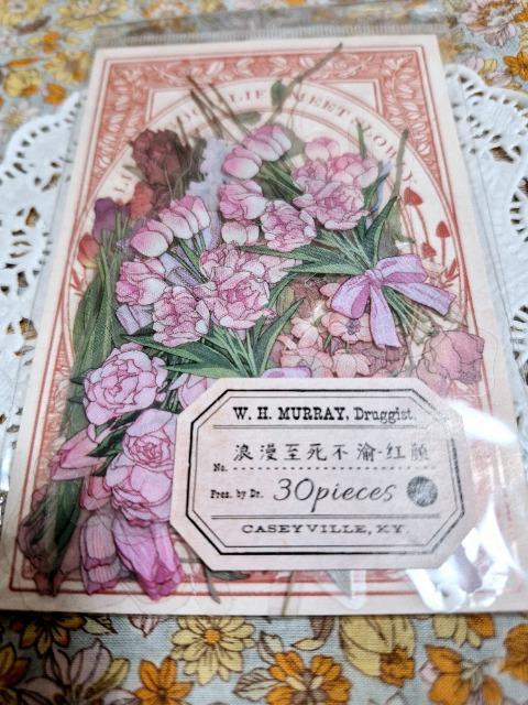 ViJ_CJbgԂ̓V[30聙   CeA/Ct 