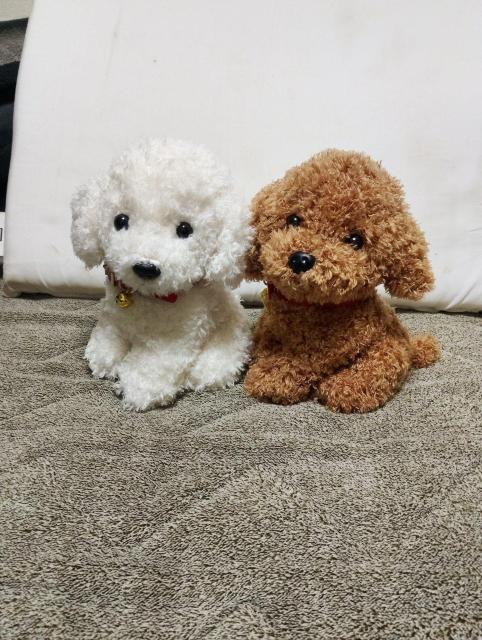 �y2�Z�b�g�z�v�[�h���ʂ������  �� �z�r�[�� 