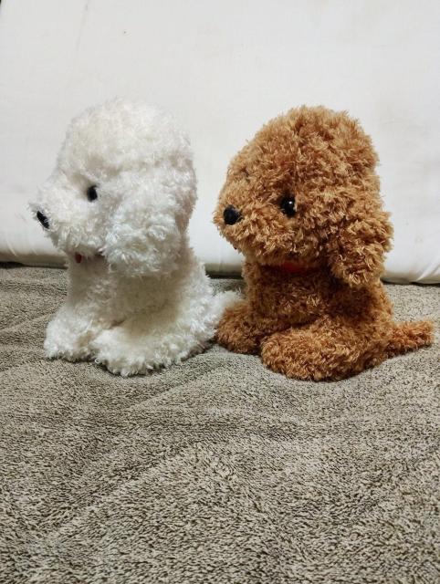 �y2�Z�b�g�z�v�[�h���ʂ������ �� �z�r�[�� 