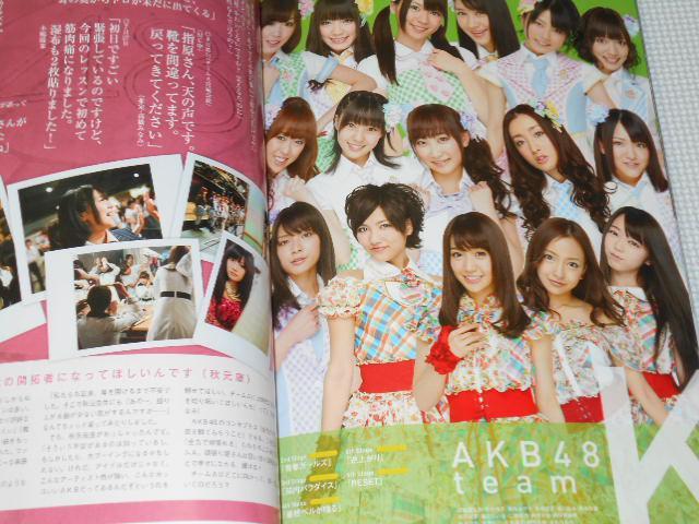 パンフレット AKB48 見逃した君たちへ AKB48グループ全公演 < タレントグッズ  パンフレット AKB48 見逃した君たちへ AKB48グループ全公演 < タレントグッズの