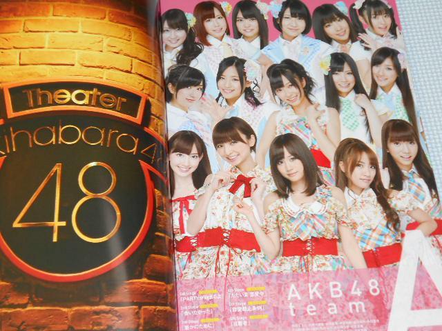 パンフレット AKB48 見逃した君たちへ AKB48グループ全公演 < タレントグッズ  パンフレット AKB48 見逃した君たちへ AKB48グループ全公演 < タレントグッズの