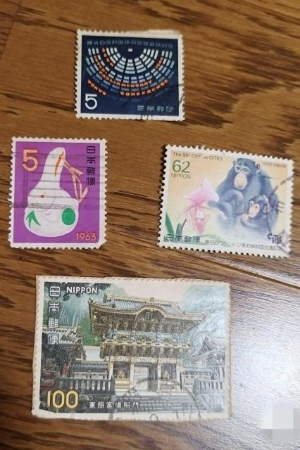 ���{�̎g�p�ϐ؎�4���Z�b�g�@����@�������@�`���p���W�[�@�������Ƌ{ �� �z�r�[�� 