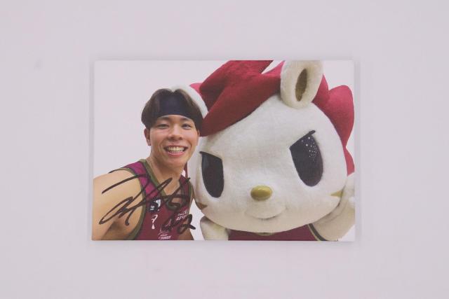 #42 vq ȑI MTC I&}XRbg LoXpl(CJver.) 