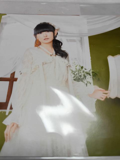 D|XgJ[h񖇖gpi   zr[ 