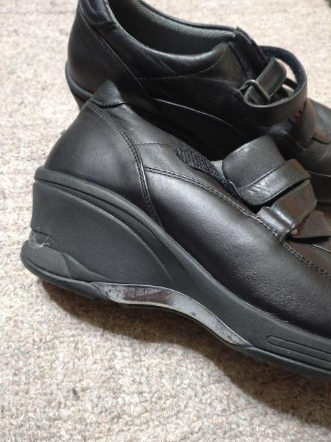 �����@�V���[�Y�@���� �� �����t�@�b�V������ 