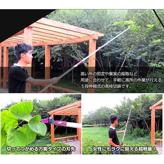 高枝切バサミ 5段階伸縮式 専用ノコギリ刃 超軽量 剪定 果実 採取 高枝切鋏 ガーデニング 庭 枝切り TAKAEDA < ペット/手芸/園芸  高枝切バサミ 5段階伸縮式 専用ノコギリ刃 超軽量 剪定 果実 採取 高枝切鋏 ガーデニング 庭 枝切り TAKAEDA < ペット/手芸/園芸の