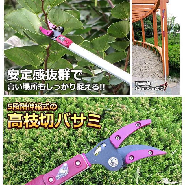 高枝切バサミ 5段階伸縮式 専用ノコギリ刃 超軽量 剪定 果実 採取 高枝切鋏 ガーデニング 庭 枝切り TAKAEDA < ペット/手芸/園芸  高枝切バサミ 5段階伸縮式 専用ノコギリ刃 超軽量 剪定 果実 採取 高枝切鋏 ガーデニング 庭 枝切り TAKAEDA < ペット/手芸/園芸の