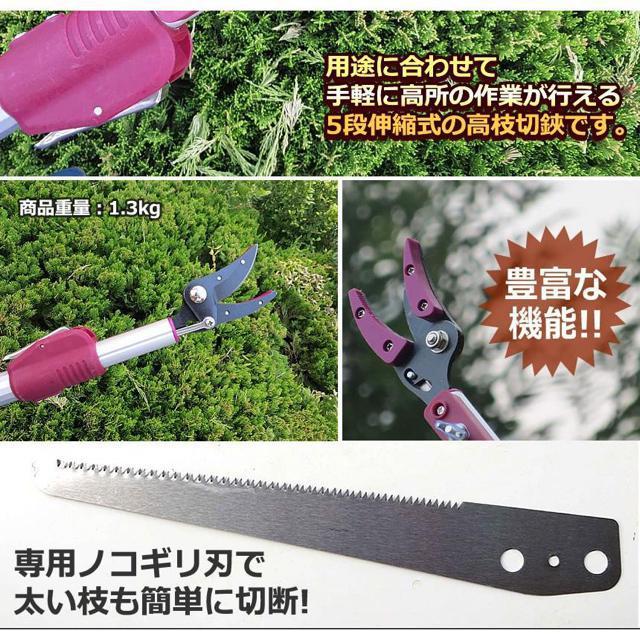 高枝切バサミ 5段階伸縮式 専用ノコギリ刃 超軽量 剪定 果実 採取 高枝切鋏 ガーデニング 庭 枝切り TAKAEDA < ペット/手芸/園芸  高枝切バサミ 5段階伸縮式 専用ノコギリ刃 超軽量 剪定 果実 採取 高枝切鋏 ガーデニング 庭 枝切り TAKAEDA < ペット/手芸/園芸の