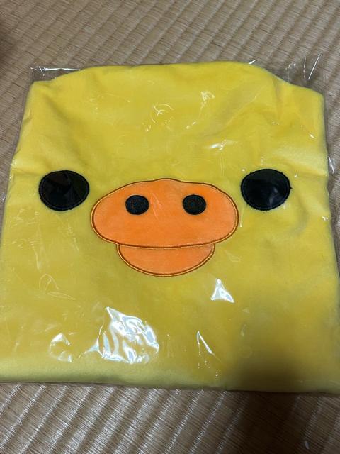 LCCg 15N Jo[P[X [\   CeA/Ct 