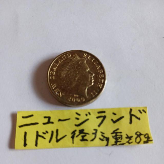 �j���[�W�����h�R�C�� �� �z�r�[�� 