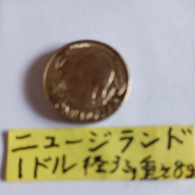 �j���[�W�����h�R�C�� �� �z�r�[�� 