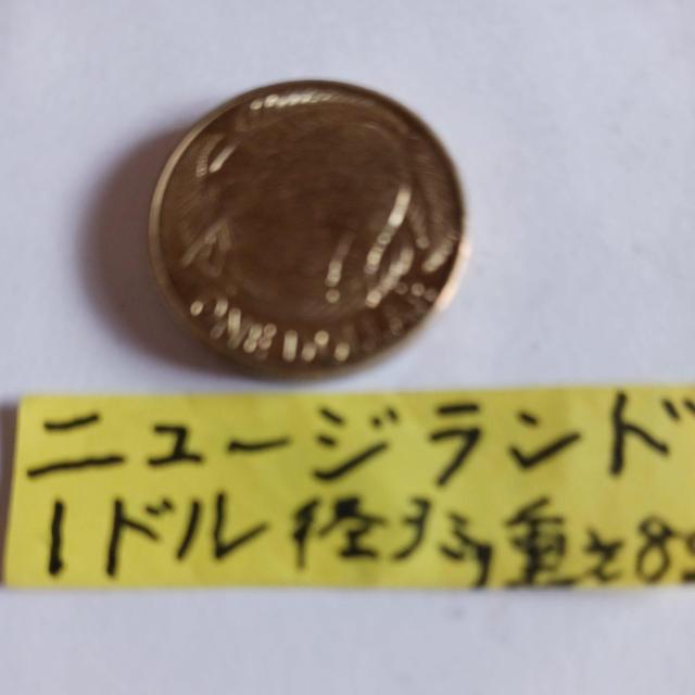 �j���[�W�����h�R�C�� �� �z�r�[�� 