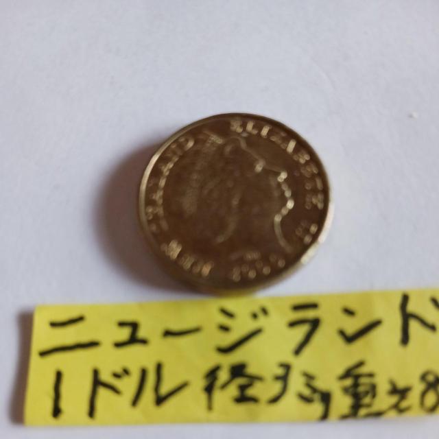 �j���[�W�����h�R�C�� �� �z�r�[�� 