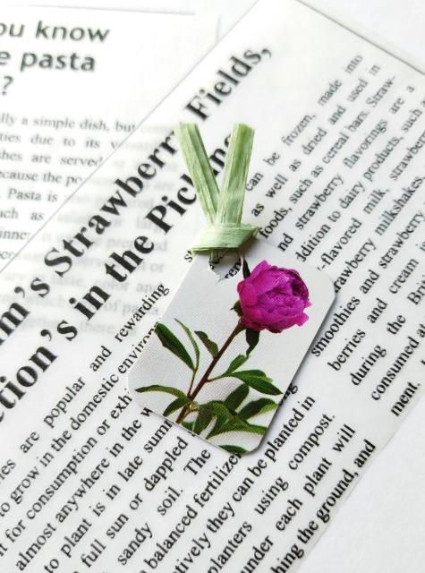 �n���h���C�h/�~�j������/�u�b�N�}�[�J�[/�ԇ@  �� �y�b�g/��|/���|�� 