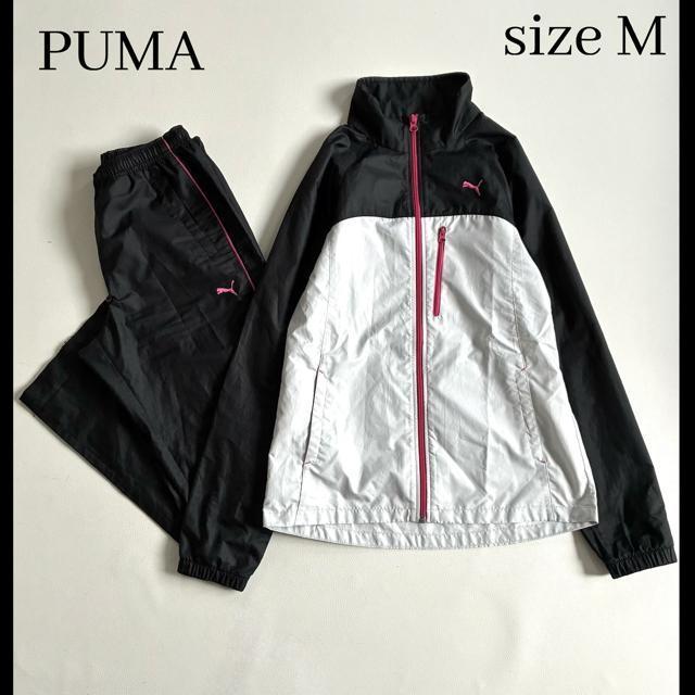 �����i��PUMA���E�B���h�u���[�J�[�Z�b�g�A�b�v�����f�B�[�XM�����~���C�g�O���[  �� �u�����h�� 