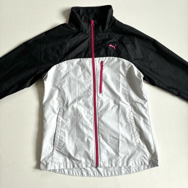 �����i��PUMA���E�B���h�u���[�J�[�Z�b�g�A�b�v�����f�B�[�XM�����~���C�g�O���[ �� �u�����h�� 