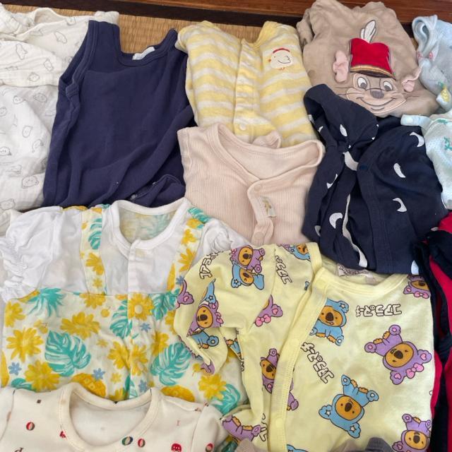 �x�r�[���@�����p�[�X�@�j�̎q�@�{�[�C�@�����@�t�@�X�^�C�@���C�I���@�R�A���̃}�[�`�@�{�[�C�Y�@�X�q �� �L�b�Y/�x�r�[�� 