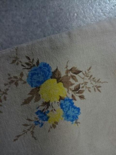 niko and c   ȉԖ͗lMp  A  gp  uh 