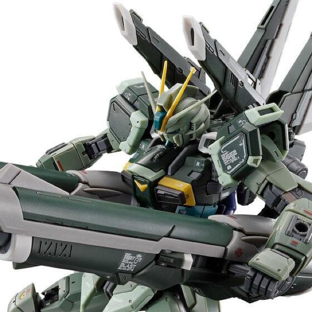 限定 RG 1/144 ブラストインパルスガンダムSpecII < ホビー  限定 RG 1/144 ブラストインパルスガンダムSpecII < ホビーの