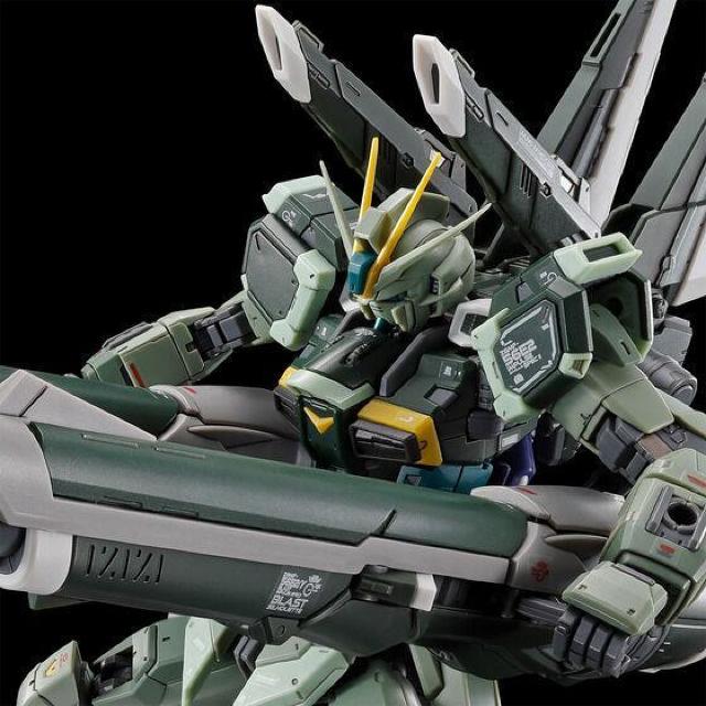 限定 RG 1/144 ブラストインパルスガンダムSpecII < ホビー  限定 RG 1/144 ブラストインパルスガンダムSpecII < ホビーの