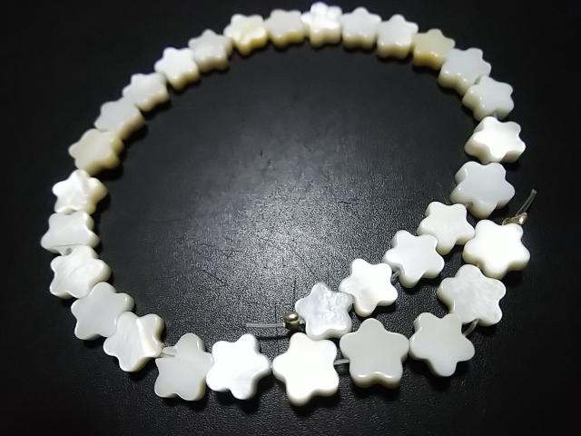 �V�R�΁��l�n�o�@�~�j���@���A  �� �����A�N�Z�T���[/���v�� 