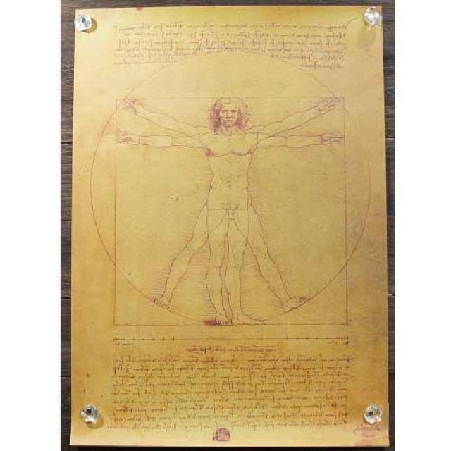 新品【ポスター】Vitruvian Man/ウィトルウィウス的人体図 ダ・ヴィンチ < ホビー  新品【ポスター】Vitruvian Man/ウィトルウィウス的人体図 ダ・ヴィンチ  < ホビーの