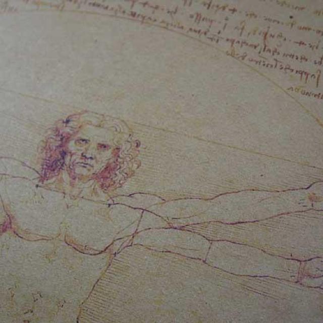 新品【ポスター】Vitruvian Man/ウィトルウィウス的人体図 ダ・ヴィンチ < ホビー  新品【ポスター】Vitruvian Man/ウィトルウィウス的人体図 ダ・ヴィンチ < ホビーの