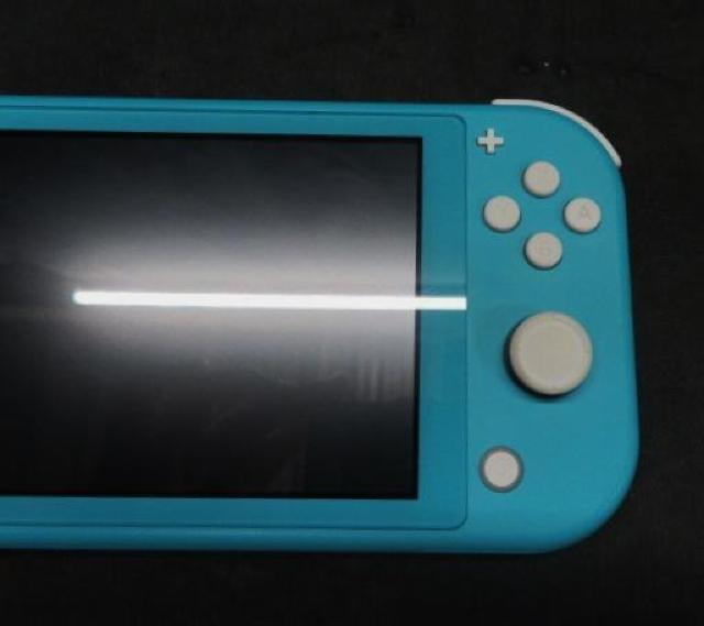 ������Nintendo Switch Lite �^�[�R�C�Y �{�̂̂�