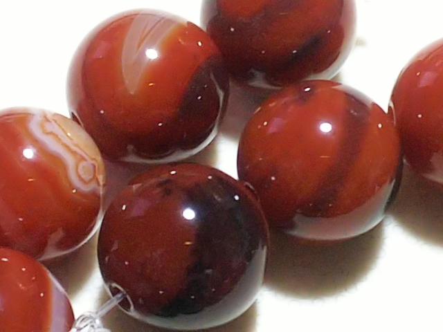 �V�R�΁��T�[�h�I�j�L�X�@���E���h�P�Q�����@���A�@ �� �����A�N�Z�T���[/���v�� 