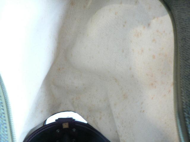 �i�U���m�K�u���G���@Nazareno Gabrielli�@�L���f�B�o�b�O/�S���t�o�b�O�E�󂠂�E�����I �� ���W���[/�X�|�[�c�� 