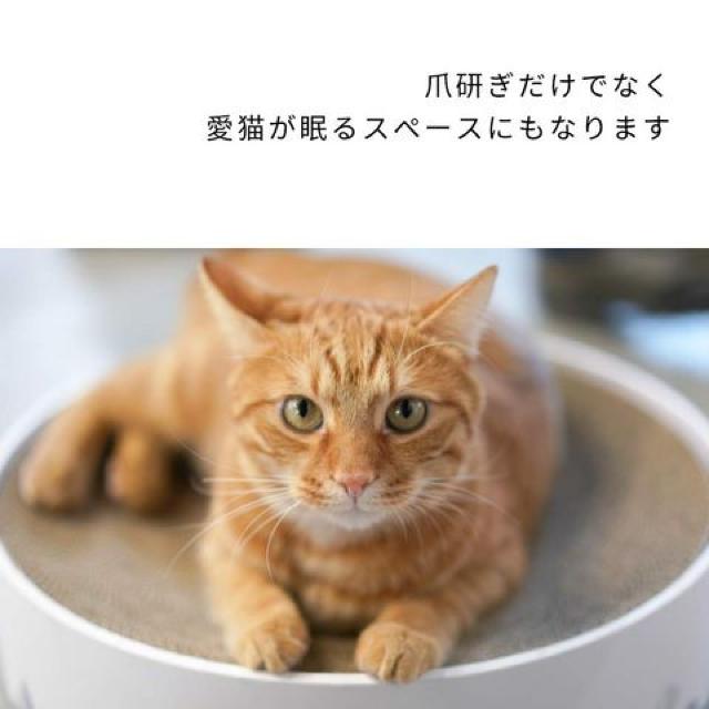 L ܌ _{[ L lC XNb`[ Lxbh  ybg/|/| 