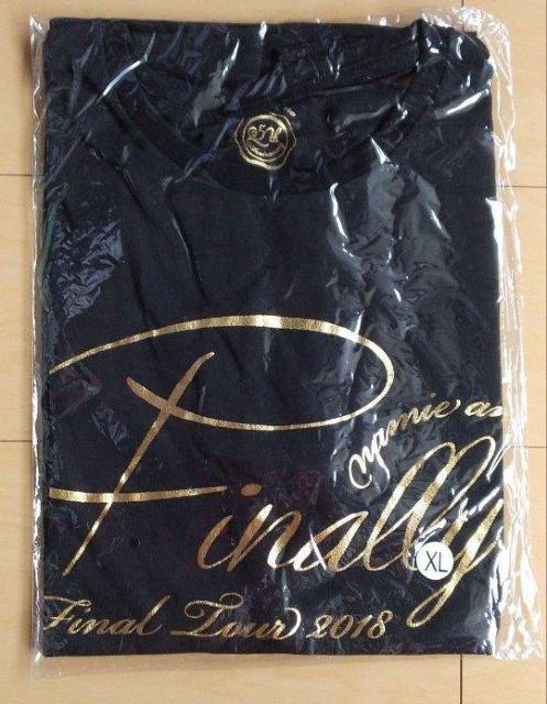 ޔb Finally Tour cA[TVc(ubN)   ^gObY 