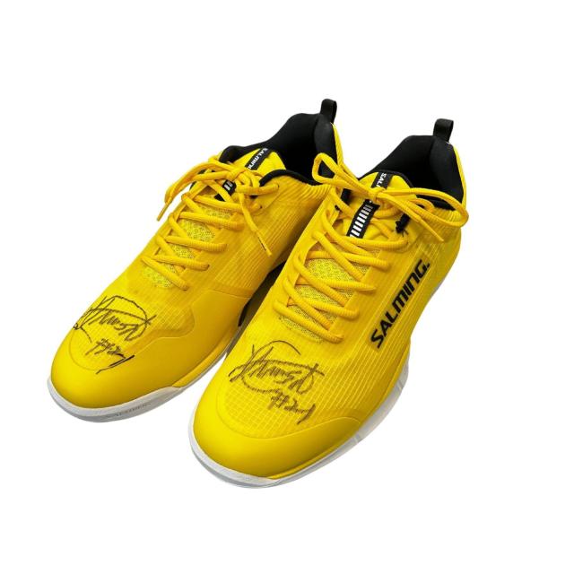 #21 ≺ SI gpEMTC T~O V[Y 