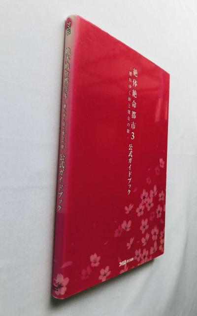 ̐▽ss3@䂭XƔޏ̉́@KChubN@U{@Ł@nKL 3  Disaster Report Book  Q[{/\tg 