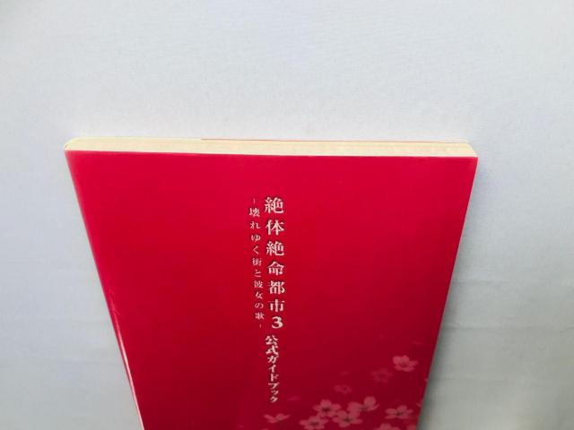 ̐▽ss3@䂭XƔޏ̉́@KChubN@U{@Ł@nKL 3  Disaster Report Book  Q[{/\tg 