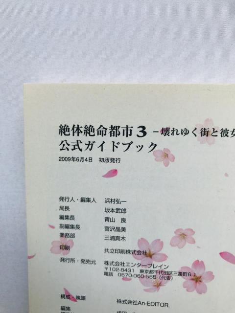 ̐▽ss3@䂭XƔޏ̉́@KChubN@U{@Ł@nKL 3  Disaster Report Book  Q[{/\tg 