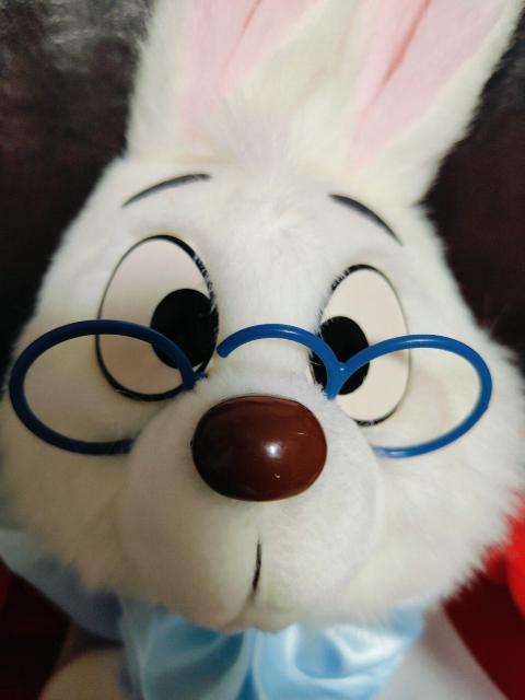 Disney �f�B�Y�j�[ �s�v�c�̍��̃A���X �������� �����b�N �^�O�t �� ��������� 