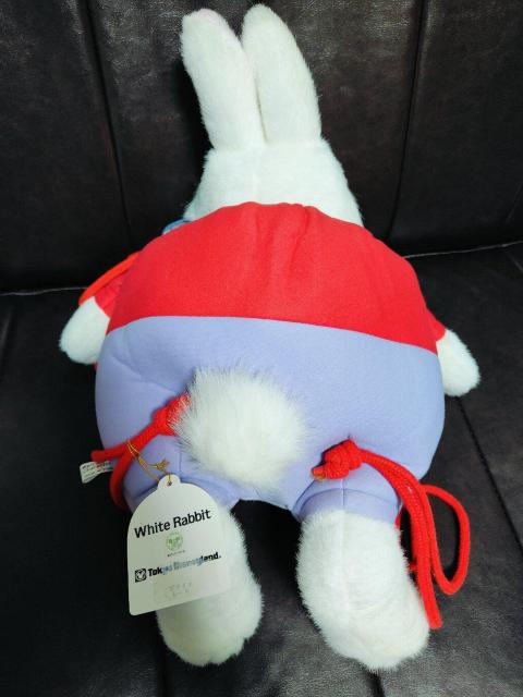 Disney �f�B�Y�j�[ �s�v�c�̍��̃A���X �������� �����b�N �^�O�t �� ��������� 