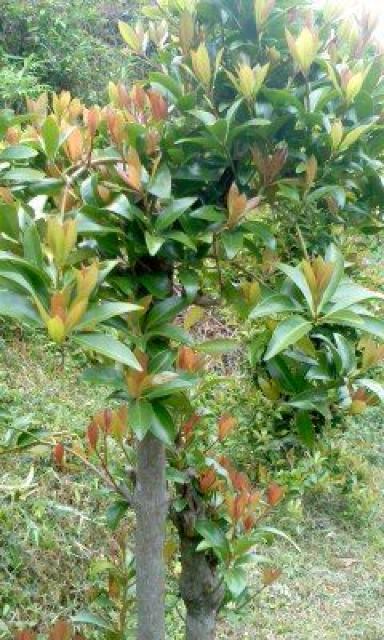 ^؂}^݁^P{POO~   ybg/|/| 