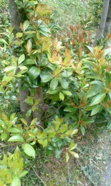 ^؂}^݁^P{POO~  ybg/|/| 